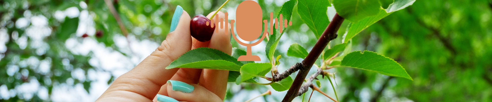 Agile Framework: Manchmal kann Cherry Picking Vorteile mit sich bringen.